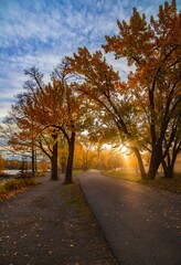 Fototapeta premium Sun Shining Over A Fall Park