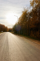 Autumn road in sunset. Flying yellow leaves. Sun flares. Selective focus