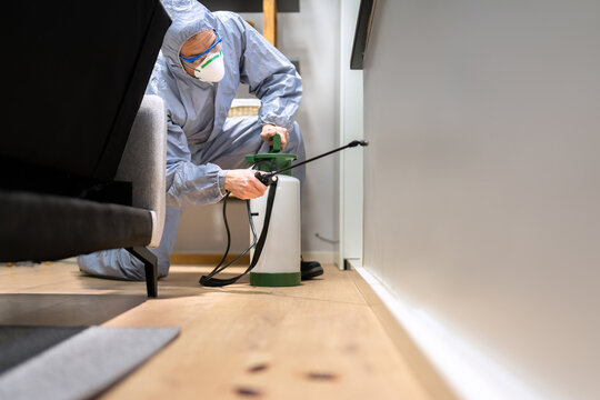 Pest Control Exterminator Man Spraying Termite Pesticide