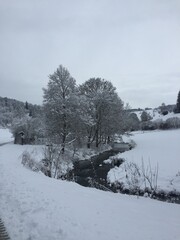 winter landscape with snow