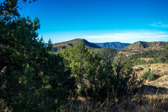 High-elevation view from the scenic drive Highway 152, looking west across the Black Range of New Mexico's Gila National Forest