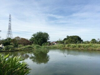 fish pond in country Chachoengsao at Thailand