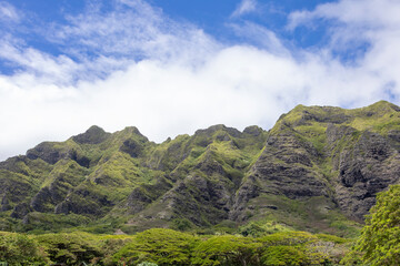 Fototapeta na wymiar High mountain range covered in green plants with blue cloudy sky, Hawaii