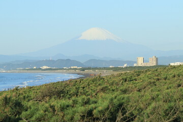 Fototapeta premium 江ノ島 風景