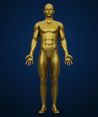 Fototapeta na wymiar 3d rendering of human anatomy