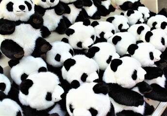 A group of cute soft cuddly toy panda bear teddy bear dolls with black rim of eyes