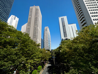 Skyscrapers in Shinjuku, Tokyo, Japan.