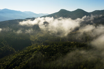 Beautiful landscape with thick mist and forest in mountains. Drone photography