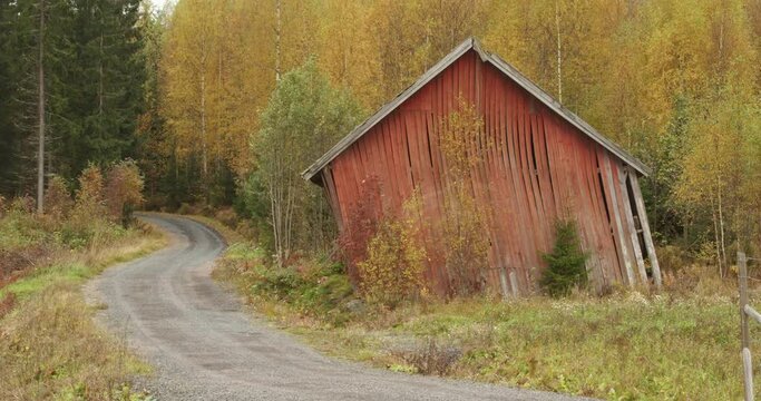 Beautiful rural autumn landscape with old decayed and abandoned wooden barn next to a beautiful forest with autumn colours.