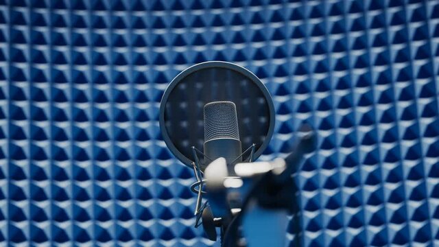 Recording studio condenser microphone with pop filter and anti-vibration mount.