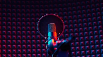 Recording studio condenser microphone with pop filter and anti-vibration mount.