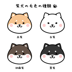 柴犬の毛色の種類セット　顔