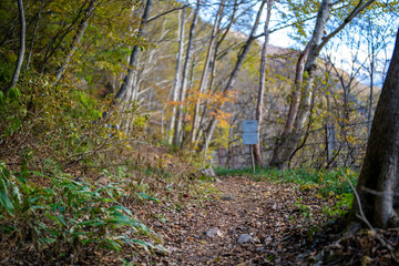 霞沢岳、乗鞍岳、上高地、穂高岳などを見るために、長野県松本市の晩秋の雪が積もる焼岳を登山する風景 Scenery of climbing Mt. Yakedake with snow in late autumn in Matsumoto, Nagano Prefecture to see Mt. Kasumisawa, Mt. Norikura, Kamikochi and Mt. Hodaka