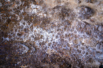 Obraz premium 霞沢岳、乗鞍岳、上高地、穂高岳などを見るために、長野県松本市の晩秋の雪が積もる焼岳を登山する風景 Scenery of climbing Mt. Yakedake with snow in late autumn in Matsumoto, Nagano Prefecture to see Mt. Kasumisawa, Mt. Norikura, Kamikochi and Mt. Hodaka