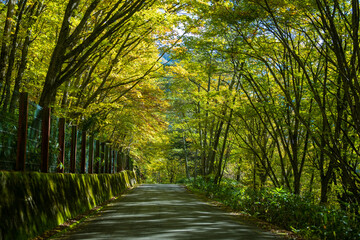 Fototapeta premium 霞沢岳、乗鞍岳、上高地、穂高岳などを見るために、長野県松本市の晩秋の雪が積もる焼岳を登山する風景 Scenery of climbing Mt. Yakedake with snow in late autumn in Matsumoto, Nagano Prefecture to see Mt. Kasumisawa, Mt. Norikura, Kamikochi and Mt. Hodaka
