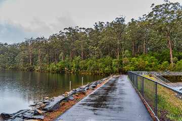 Big Brook Dam Foreshore and Picnic Area in Channybearup - obrazy, fototapety, plakaty