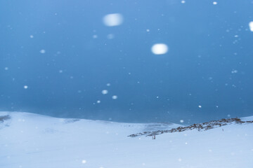 Fototapeta na wymiar 雪吹きすさぶ白銀の鳥取砂丘