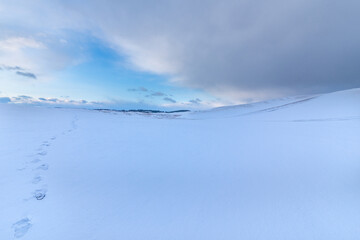 雪吹きすさぶ白銀の鳥取砂丘