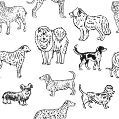 Dogs breeds collection. Vintage style seamless pattern for your design