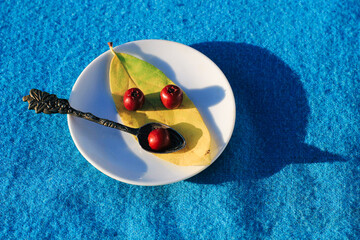 Red berries and a yellow leaf on a white saucer and a teaspoon