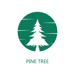 Pine Tree icon. Trendy flat vector Pine Tree icon on white background, vector illustration can be use for web and mobile