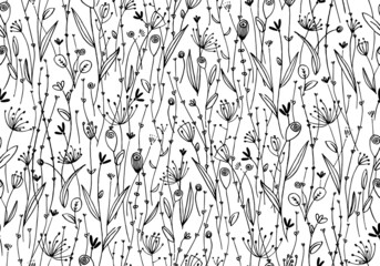 Vector seamless pattern of flowers and plants. Flower coloring of a black and white summer meadow. Contour sketch of dill and plant stems with leaves.