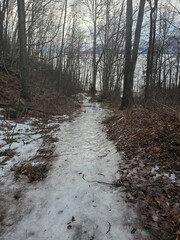 Fototapeta premium river in winter