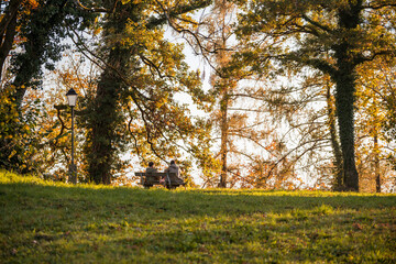 couple in autumn in the park on a bench