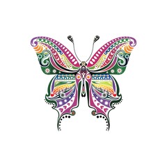 Fototapeta na wymiar Design element, butterfly with pattern, bright, motley