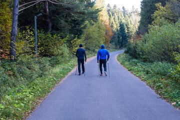 Fototapeta premium Two mans walking together on a forest road. 