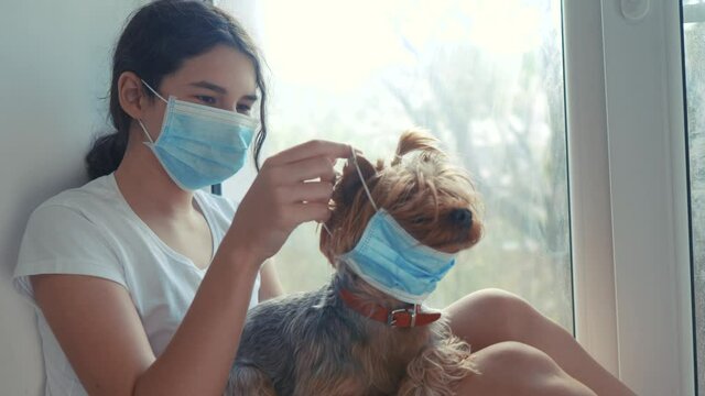 coronavirus pandemic concept. little teenage girl sitting in a medical mask at the window puts on a mask to the dog. self-isolation concept virus covid 19 infection doomsday. sick child kid indoors
