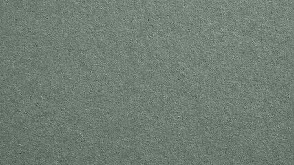 The surface of gray cardboard. Paper texture with cellulose fibers. Paperboard wallpaper. Background with a generic gray tint. Textured glamorous and elegant backdrop. Top-down. Macro