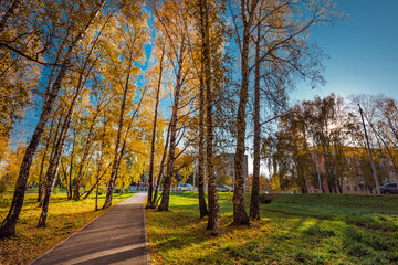 Autumn city landscape. The city of Berdsk, Siberia