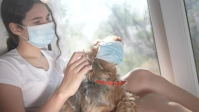 coronavirus pandemic concept. little teenage girl puts medical mask on a dog. self-isolation virus concept covid 19 infection doomsday. sick child kid indoors. dog in air face mask lifestyle . girl
