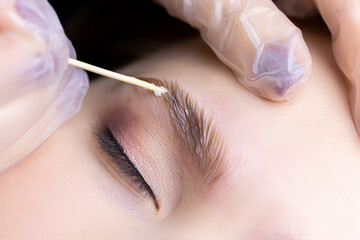 macro photography of eyebrow hairs on which laminating compounds are applied spreads them over the...