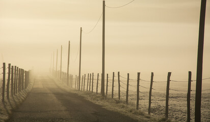 the road goes into the blanket of fog