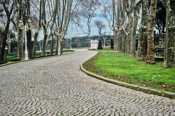 Cobblestones path way in Gulhane Park