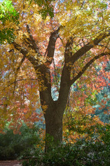 Nature Photography