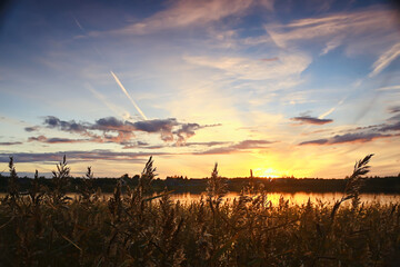 Fototapeta na wymiar summer sunset lake, nature, beautiful sky