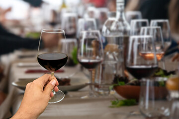 hand holding wine glass in vineyard