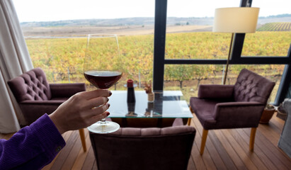 hand holding wine glass in vineyard