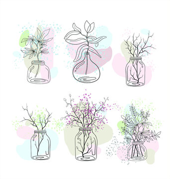 Vector illustration with different plants in jars and vases. Glassware and branches with leaves and flowers. A set of trendy compositions for printing on clothes and interior decoration.
