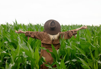 Blonde woman in cloak and hat in cornfield in summertime