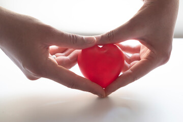 hand holding heart. World Health day concept. Heart health and peace concept. World organ donation day. Concept of healthy heart for healthy life. Selective focus.