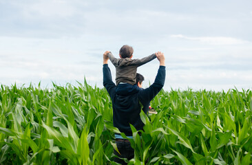 Father and son in green cornfield
