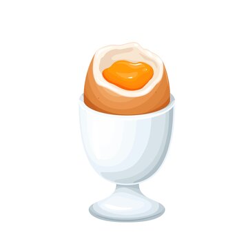 Soft-boiled eggs in eggshell in egg holder vector illustration.