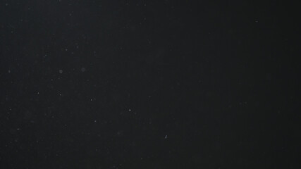 dust particles float in cool light on black background