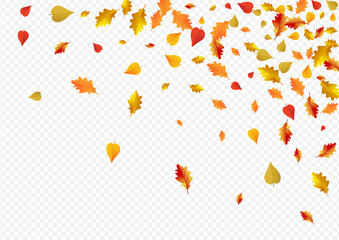 Green Leaves Vector Transparent Background.