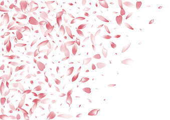 Color Rose Petal Vector White Background. Pastel