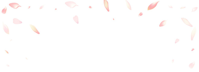 Pastel Rose Petal Vector White Background. Pink